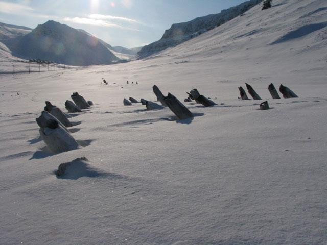 Galeria Spitsbergen, obrazek 8