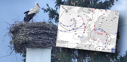 Front, chłodniejsze powietrze, przelotny deszcz i burze. Sprawca to Rudolf. Dzisiaj ten niż ustawia pogodę [PROGNOZA]