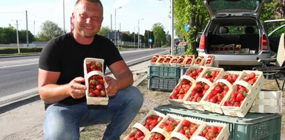 Są już polskie truskawki. Ile kosztują?