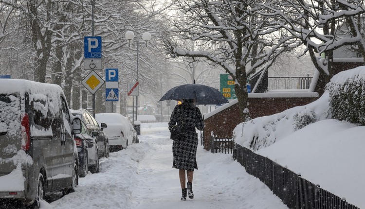 Jest prognoza na luty. Takiej pogody dawno nie było. Ewenement"