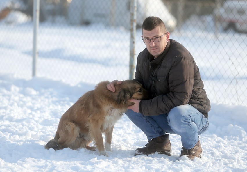 Goran Milojević brine o psu