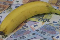 Unia reguluje kształt bananów i ogórków?