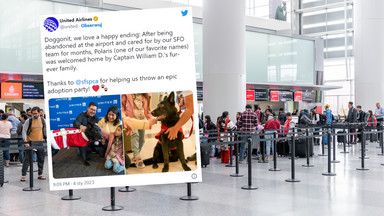 Właściciel porzucił psa na lotnisku. Nieoczekiwany finał smutnej historii