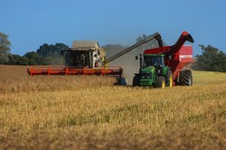 Kaczmarczyk: Jeżeli rolnicy nie będą mieli dostępu do opału, paliwa i gazu, to będzie wielki problem z produkcją