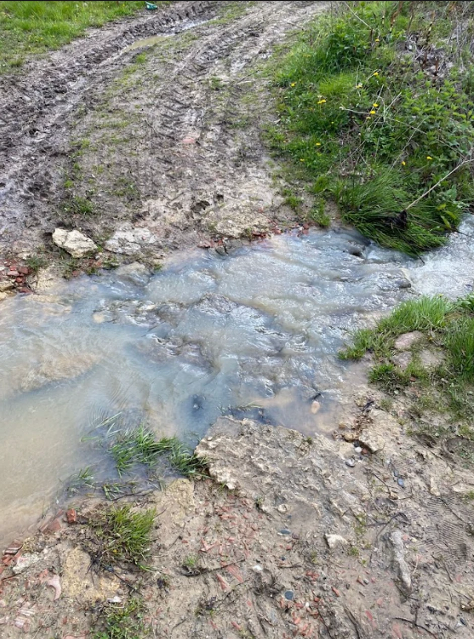 Marko i Divna DNK kuća
