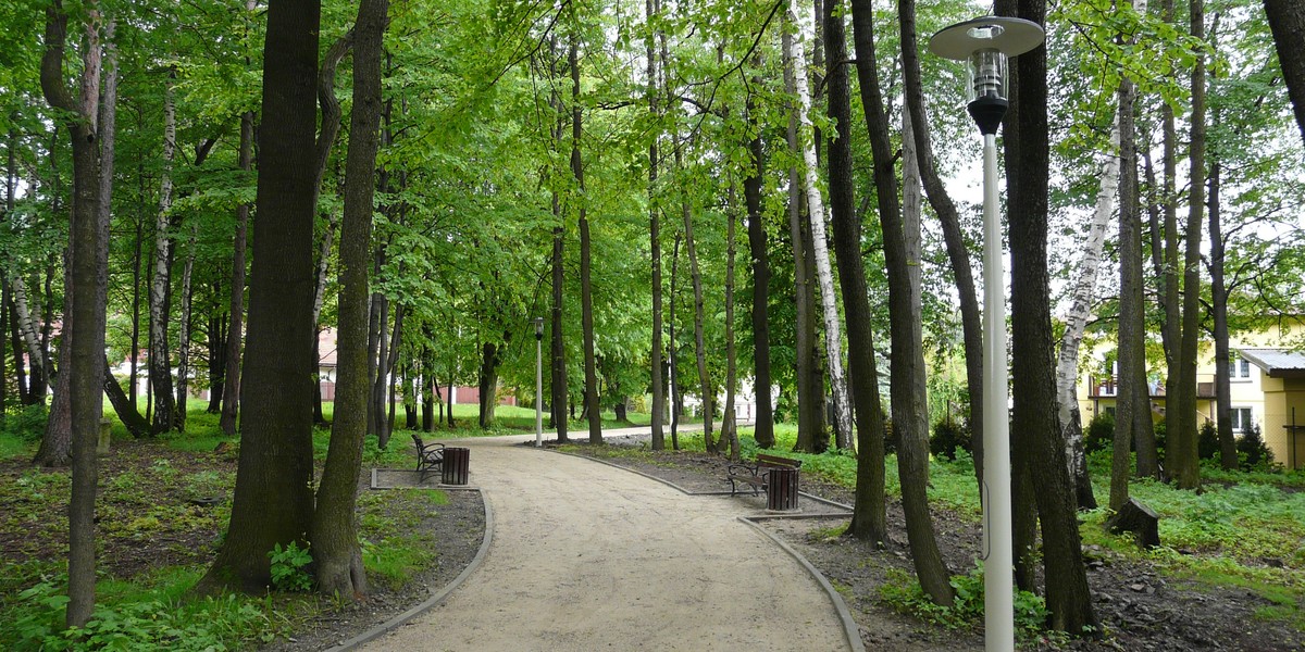 Mieszkańcy chcą wyciąć park, bo przeszkadzają im śpiewające ptaki i spadające liście. 