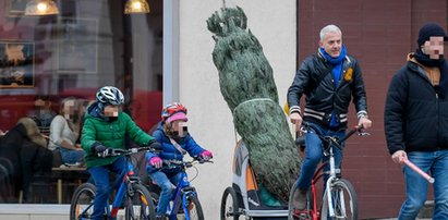 Z drogi śledzie Urbański choinkę wiezie!