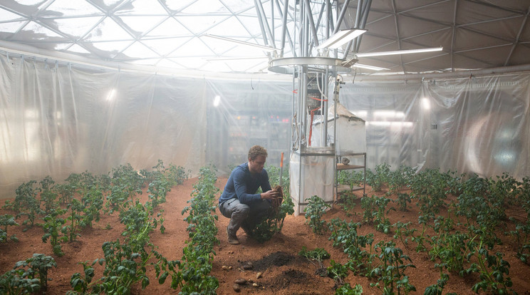 Matt Damon is próbálkozott a Mentőexpedíció című filmben a marsi növénytermesztéssel. /Fotó: Northfoto