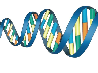 DNA przedsiębiorcy