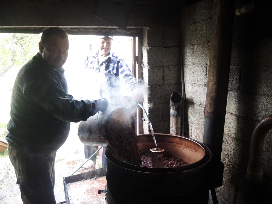 Šljiva rodila posle tri godine, ali rakiju malo ko peče