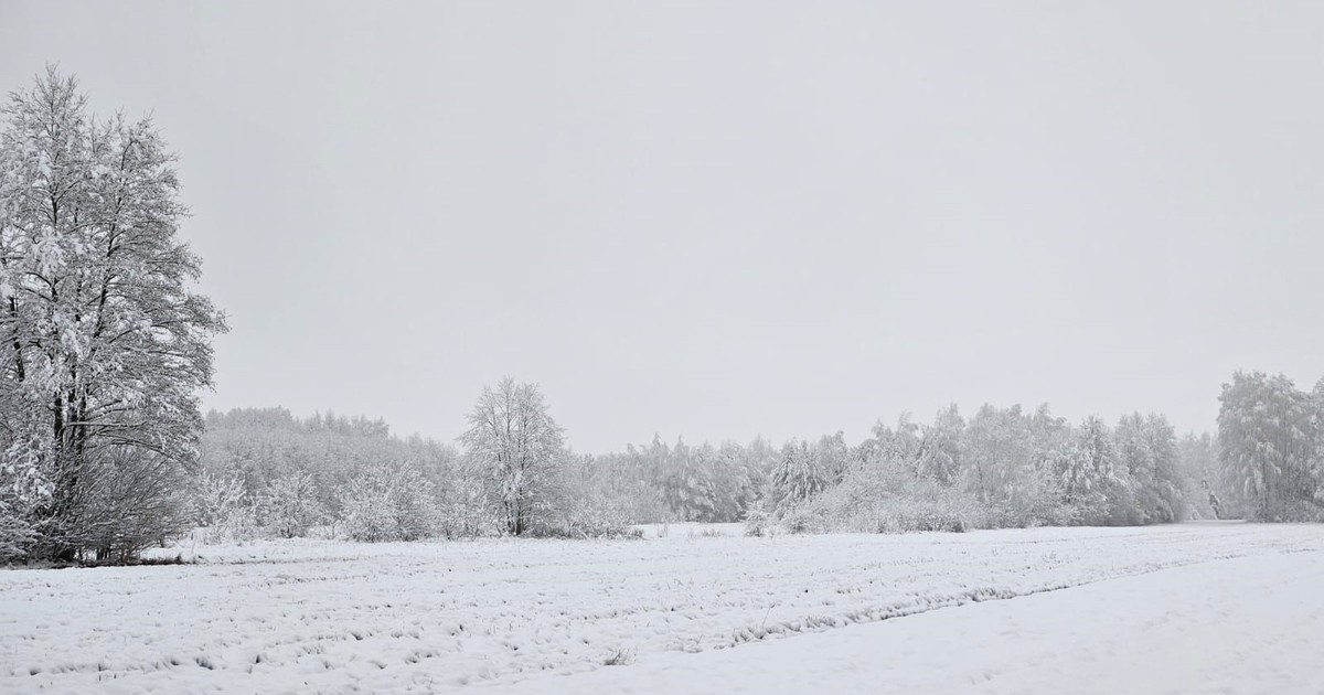 Ciało leżało na polu pod śniegiem. Tragedia w gminie Biskupiec