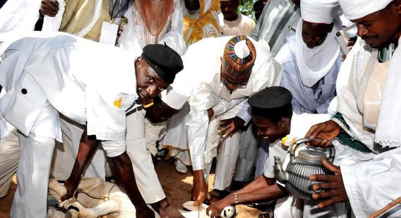 President Muhammadu Buhari slaughters ram in commemoration of Eid-el-Kabir in Daura, Katsina State on September 24, 2015