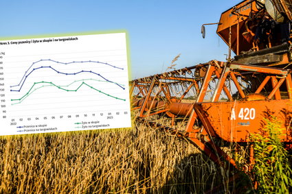 Ceny skupu spadają. Szczególnie widoczne jest to w przypadku zbóż