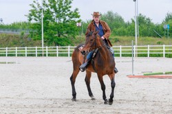 Daniel Olbrychski chodzi o kulach. Aktor jest po operacji