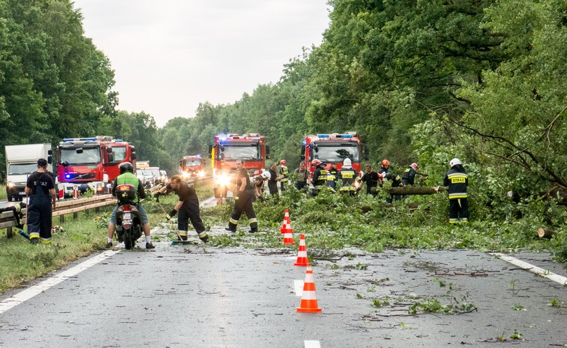 Piasek na Śląsku. Strażacy usuwają powalone drzewa z drogi krajowej nr 1