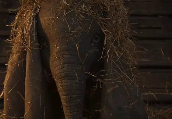 Nowy film o słoniku Dumbo - już sam trailer wzrusza i zachwyca