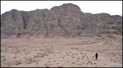 Galeria Jordania - pustynna przygoda, obrazek 8