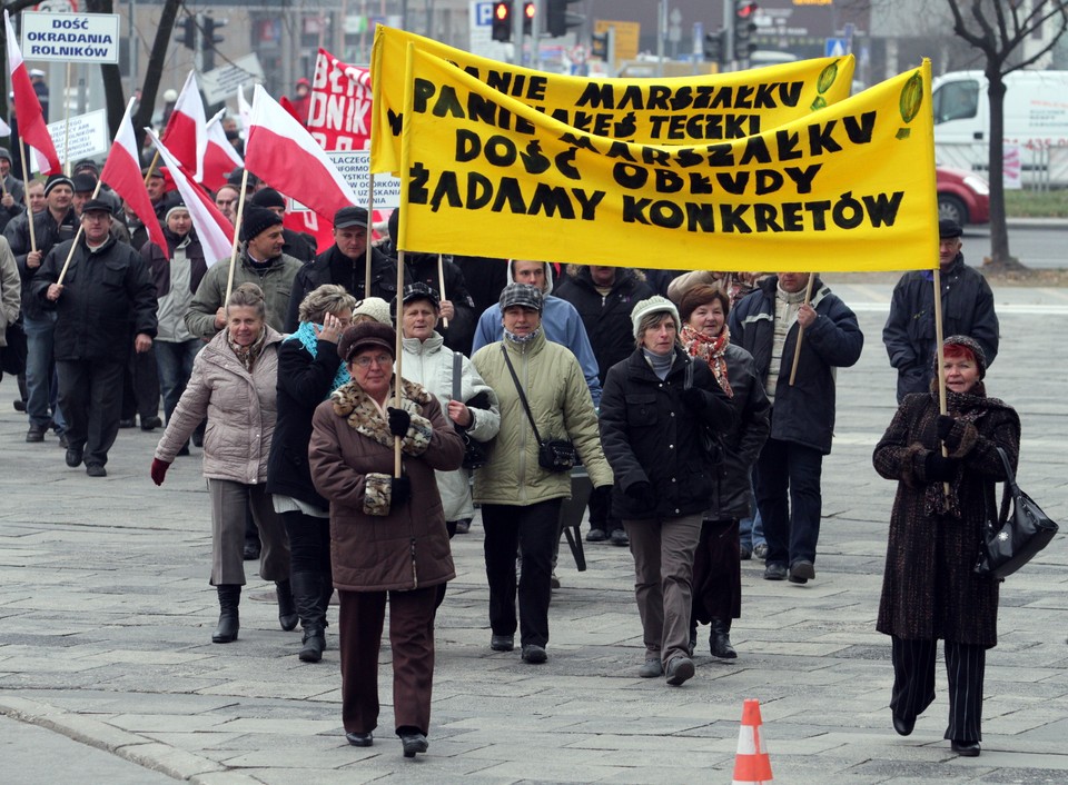 Protest hodowców ogórków