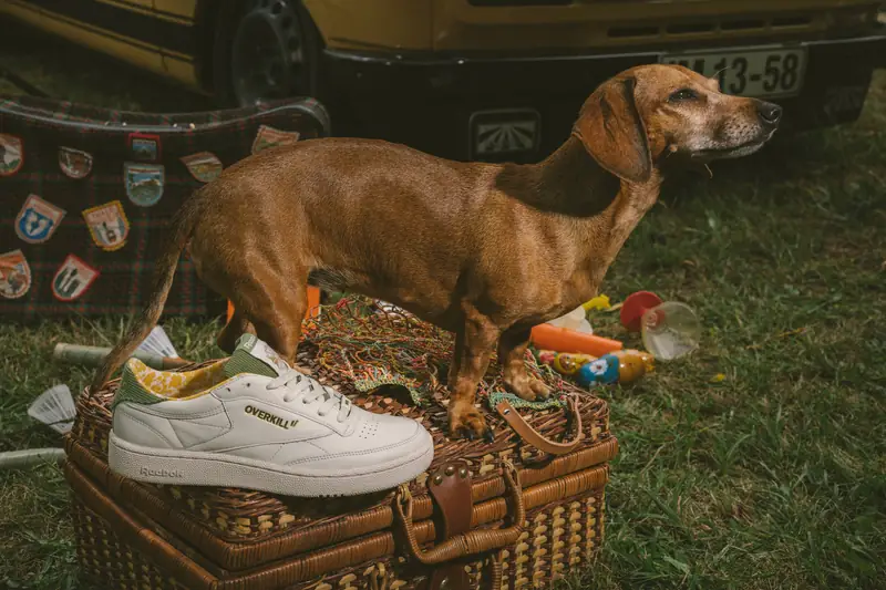 Overkill x Reebok kolekcja &quot;Berlin 1985&quot; 