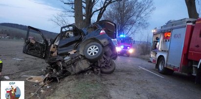 Auto owinęło się wokół drzewa. Kierowca nie miał żadnych szans