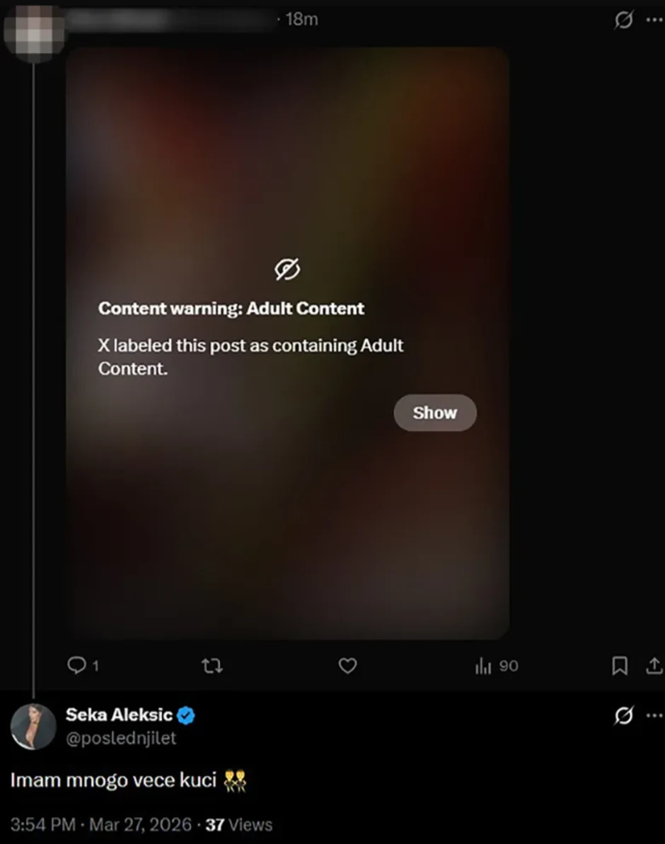 Objava Seke Aleksić