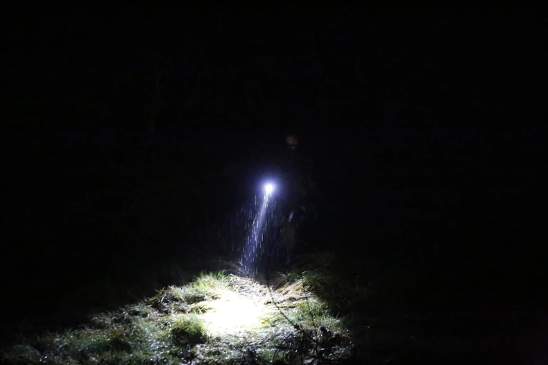 Potraga za nestalom Dankom