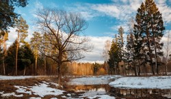 Nagle zrobi się wyjątkowo ciepło. Będzie wzrost nawet o około 25°C