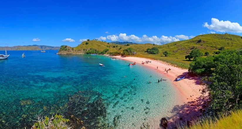 Różowa plaża na wyspie Komodo/materiały prasowe Albatros