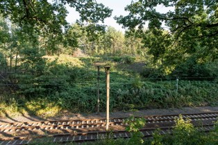 Minister kultury: Złoty pociąg to na razie marzenie