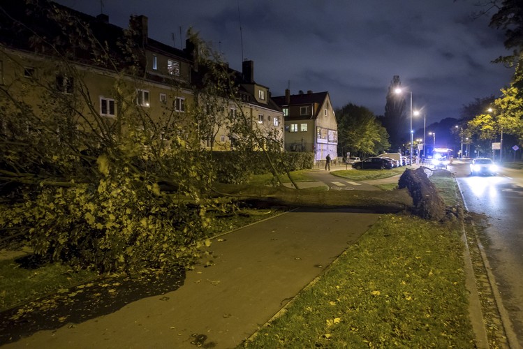 Zniszczenia po przejściu orkanu Ksawery