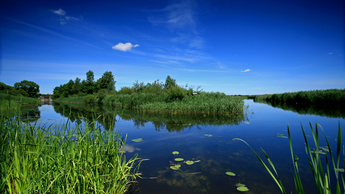 Dolina i Bagna Biebrzy - ostoja dzikiej przyrody - zostały uznane za "Modelowy europejski ośrodek turystyki wodnej 2010" w Polsce.