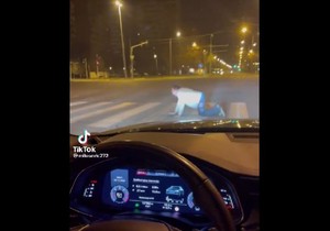 Čovek puzeći prelazi ulicu