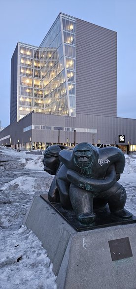 Nowoczesne centrum Nuuk