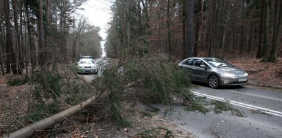 Huragan nadciaga nad Polskę!