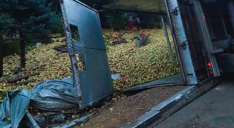 Ogród zasypany jabłkami z ciężarówki
