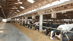 wyzwania zrównoważonego rolnictwa