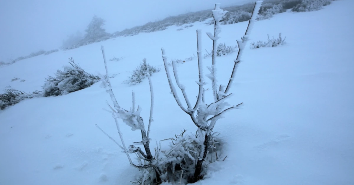 Mapy synoptyków zaskakują. W Europie nie było takiego zjawiska od wielu lat