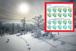 Jaka będzie pogoda na Boże Narodzenie 2023? Znamy pierwsze prognozy!