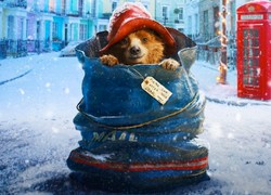 Wreszcie! Miś Paddington przybywa do Londynu