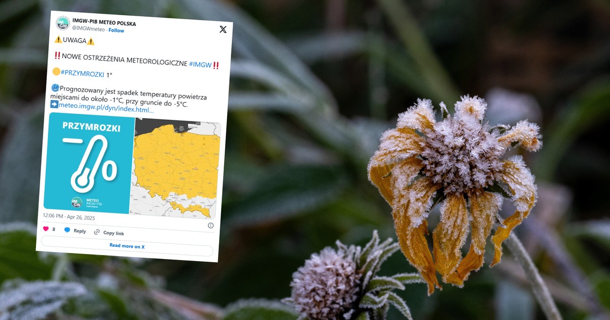 Prawie cała Polska objęta alertami. IMGW ostrzega przed przymrozkami