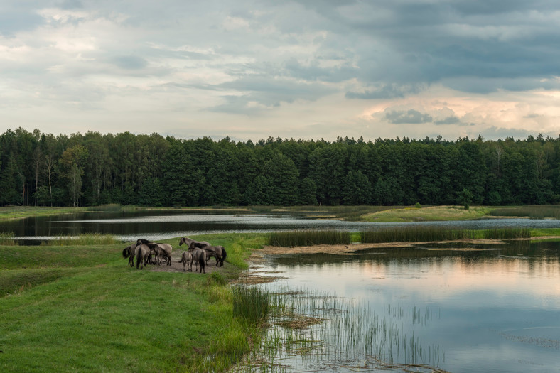 Roztoczański Park Narodowy