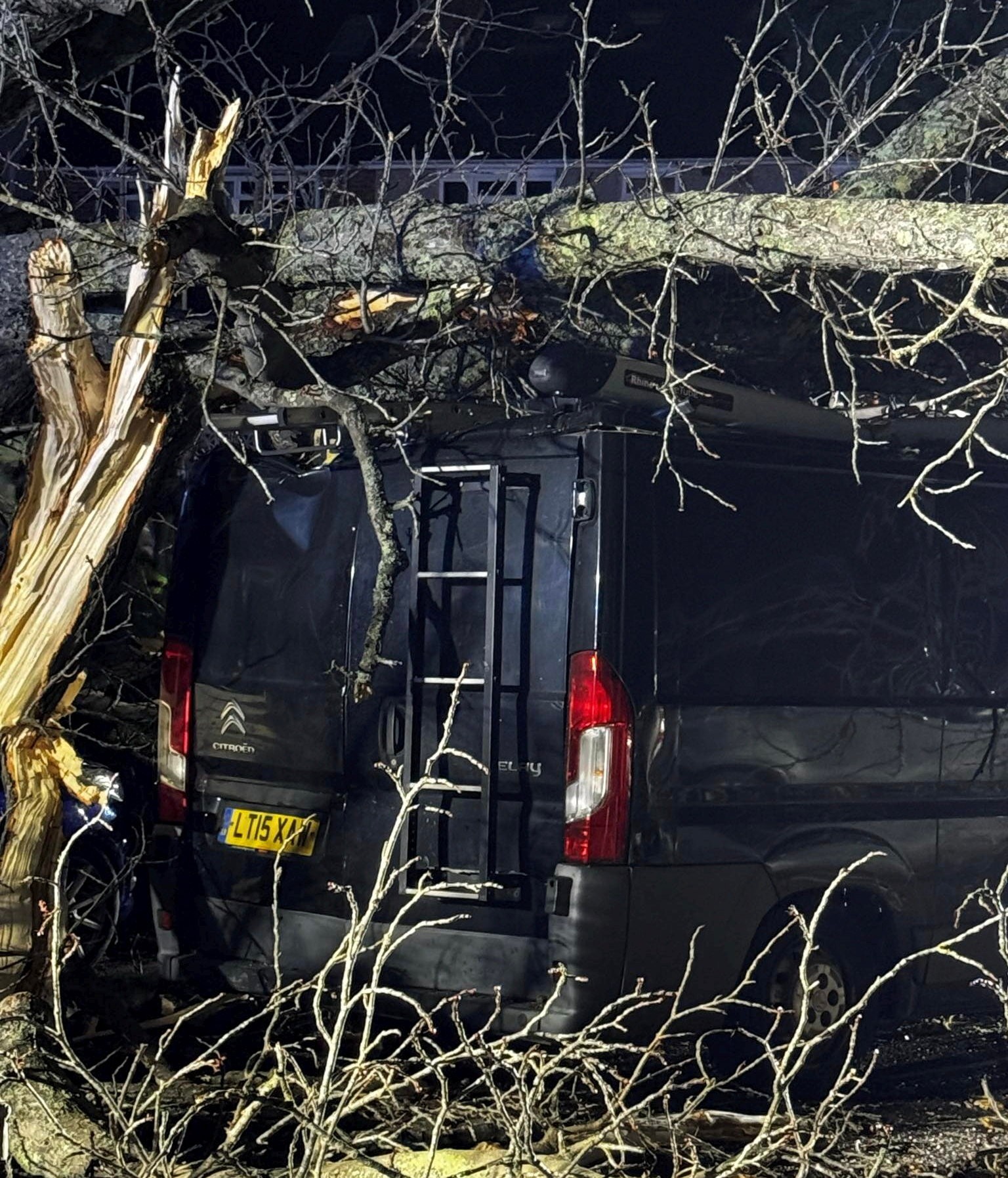 Strom mu spadol na čelné sklo priamo počas jazdy.