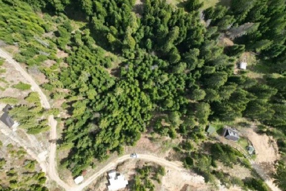 Evo koliko košta plac na Zlataru! Oglas za prodaju podigao prašinu: Ova srpska planina postaje nova "zlatna koka" (FOTO)