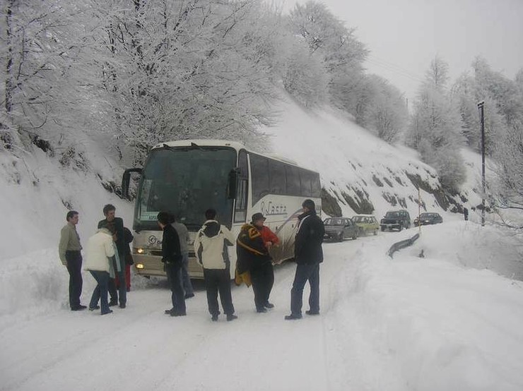 Autobus