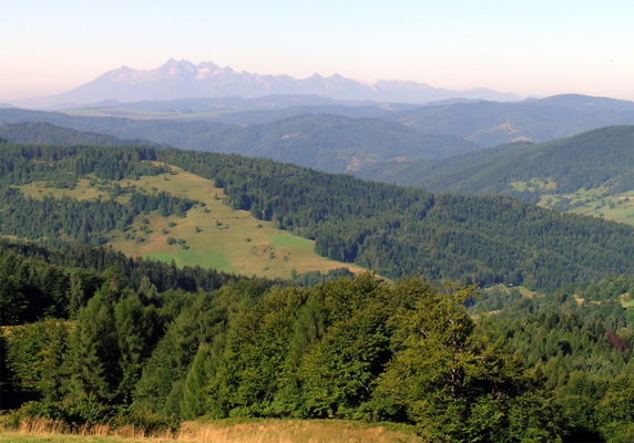 Pusta Wielka, Beskid Sądecki