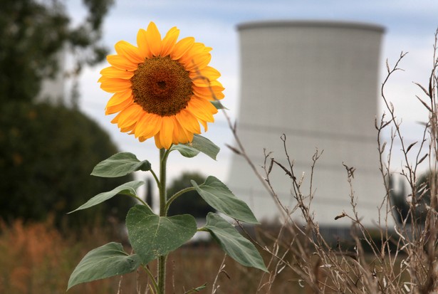 nuclear power plant in Germany & sunflower