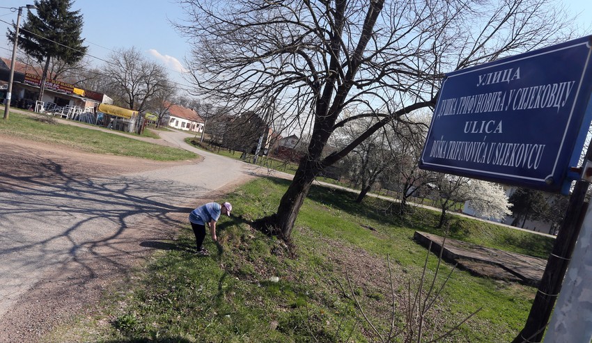 Ulica Duška Trifunovića