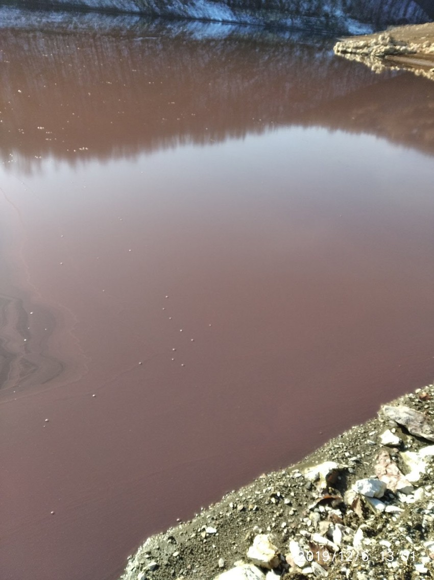 Nizak vodostaj jezera i topla jesen su uslovili cvetanje Vrutaka