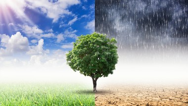 szczytny cel, nieszczęsny szczyt [opinia]