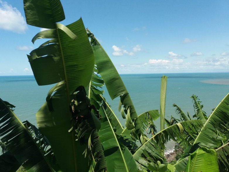 Batumi - ogród botaniczny, który trzeba obowiązkowo zobaczyć!